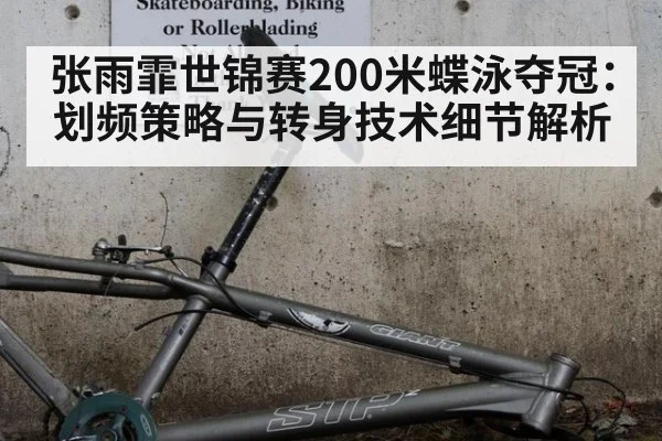 张雨霏世锦赛200米蝶泳夺冠：划频策略与转身技术细节解析
