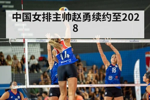 volleyball match action
