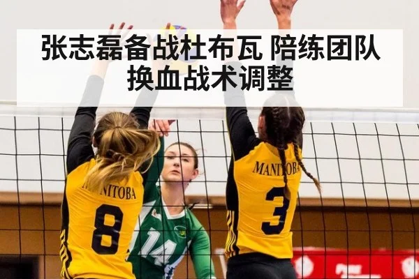 张志磊备战杜布瓦 陪练团队换血战术调整