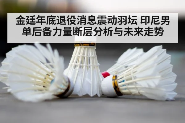 badminton shuttlecock court closeup