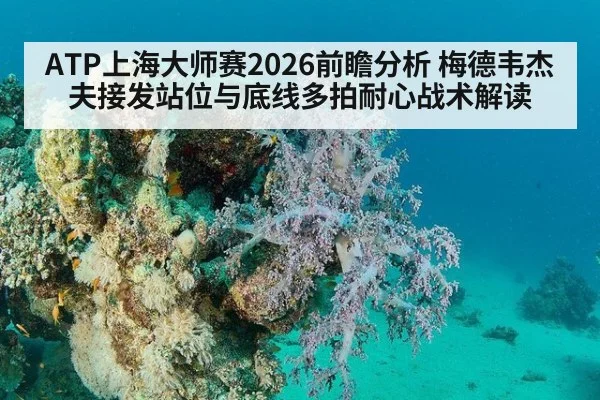 ATP上海大师赛2026前瞻分析 梅德韦杰夫接发站位与底线多拍耐心战术解读